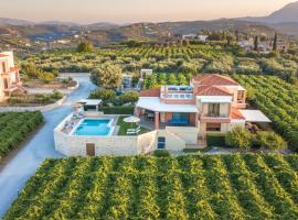 Cretan Vineyard Hill Villa 2，位于Áno Kalésia的别墅