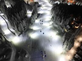 VIKENDICA NOLE Jahorina，位于帕莱的酒店