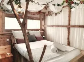le Crusoé à l'étang d'Anty -chambre d'hôtes