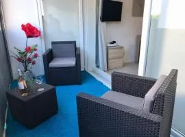 Paille en queue - Studio cosy centre ville, 5 min des plages , parking, clim et Wifi