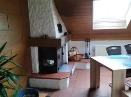 Aussergewöhnliche Atelierferienwohnung mit Balkon an der Donau