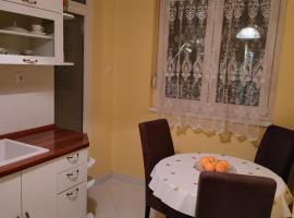 Apartman Sunce，位于波德戈里察Montenegrin Investment Promotion Agency附近的酒店