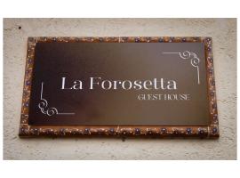 La Forosetta Guest House，位于诺尔恰的公寓