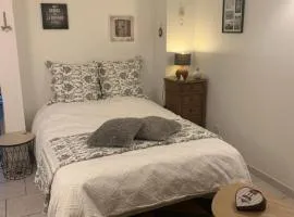 la maison bleue appart 1