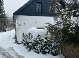 Apartamenty Slowianka