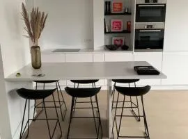 Beautiful penthouse at 5min of Albert place