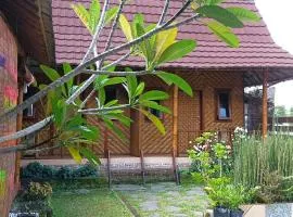 Mysha Guest House-Lombok