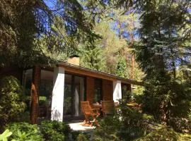 Bungalow im Wald