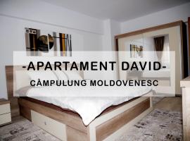 Apartament David，位于坎普朗莫道尼斯的公寓