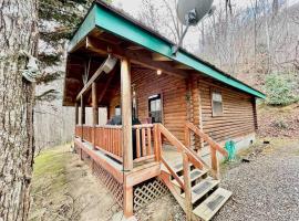 Good Life Cabin 2，位于布赖森城的酒店
