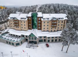 SARPİNO MOUNTAİN HOTEL，位于Sarıkamıs的酒店