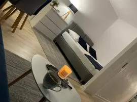 Apartament Bora Stronie Śląskie