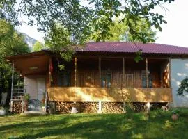 Kipiani's guesthouse