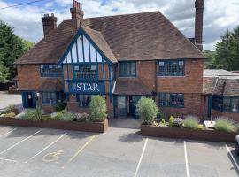 The Star Inn，位于灵格弗尔德Lingfield Park Golf Club附近的酒店