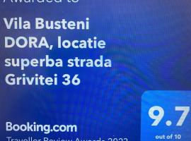 Vila Busteni DORA, locatie superba strada Grivitei 36，位于布什泰尼的别墅