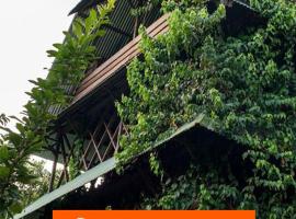 Paraíso Ayahuasca Hotel & Tours，位于Puerto Nariño的酒店
