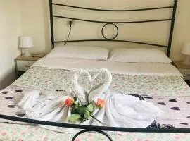 Affittacamere LA MUSA