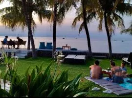 1000梦幻简易别墅酒店