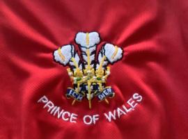 Prince Of Wales，位于彭布罗克郡的酒店