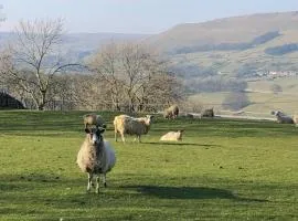 Quarry Cottage near Hawes, Yorkshire Dales, Pet free