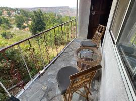 Tabletop Villa Balcony - valley view with massive hall，位于潘奇加尼的酒店