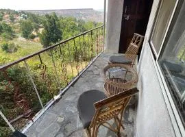 Tabletop Villa Balcony - valley view with massive hall