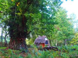 Le cul de loup，位于Vouzon的豪华帐篷