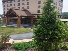 The Lodge at Wisp，位于麦克亨利的滑雪度假村