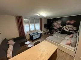 Apartment 11