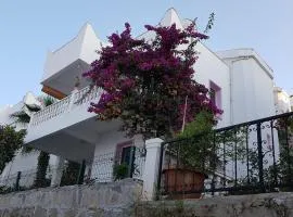 Inviting 2-Bed House in Mugla