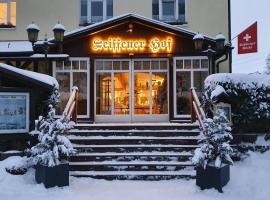 Hotel Seiffener Hof***，位于塞芬的酒店