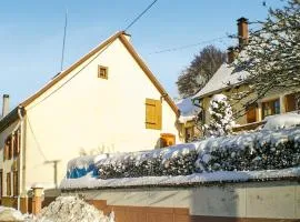 Amazing Home In Natzwiller With Wifi