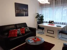 Beautiful Appartment in ROUEN