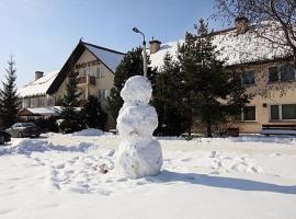 Hotel**Pieniny，位于Niedzica的酒店