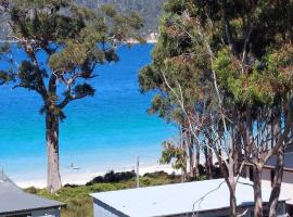 The Beach Box at Big Roaring Beach Tasmania，位于Surveyors Bay的乡村别墅