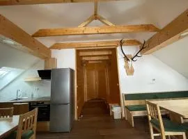 Apartma LD Puščava