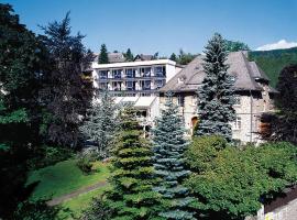 鲁特斯公园酒店，位于维林根的酒店