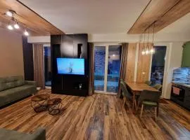Mavrovo ski apartment