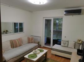 Apartman - Hani，位于Rakovica的酒店