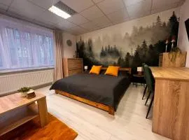 Apartman - centrum zadarmo parkovanie