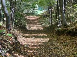 Siedlisko Wyżne