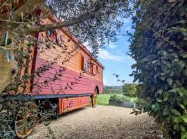 Roulotte chez Manon en Luberon