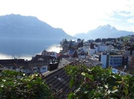 Wohnung mit herrlichem Blick auf den Pilatus，位于韦吉斯的酒店