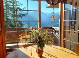 Our little marmots' dream