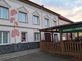 Pension PAVIR，位于Židlochovice的酒店