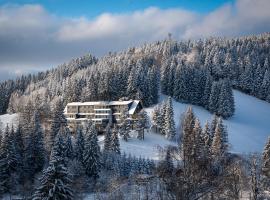 Spa hotel Lanterna，位于大卡尔洛维采的酒店