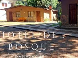 Hotel del Bosque