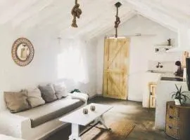 Arya's Nest