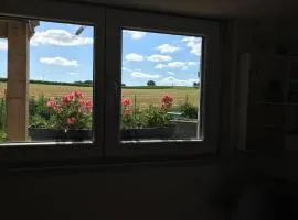 Chalet bois proche de la Dordogne, Eymet a 5 km