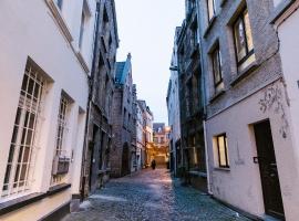 De Moriaan Historic Airco，位于安特卫普的酒店
